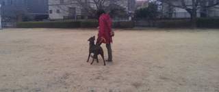 FB_IMG_1488835767380.jpg