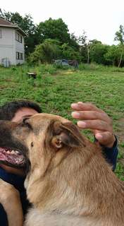 FB_IMG_1495924094644.jpg