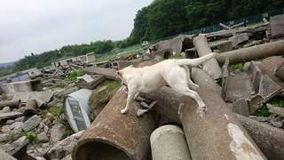 FB_IMG_1496959053693.jpg
