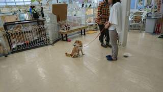 FB_IMG_1499802629826.jpg