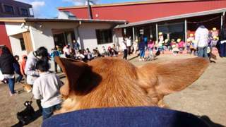 FB_IMG_1515112906480.jpg