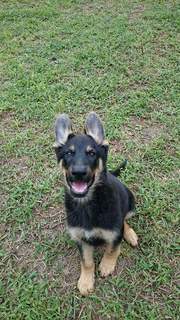 FB_IMG_1520635045943.jpg