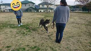 FB_IMG_1522620132050.jpg