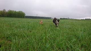 FB_IMG_1525555241687.jpg