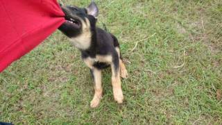 FB_IMG_1527891199564.jpg