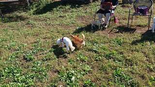 FB_IMG_1541110052661.jpg