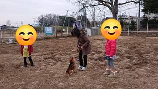 FB_IMG_1547329887785.jpg
