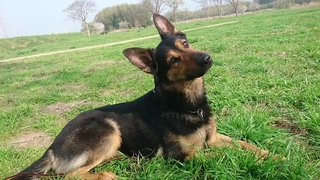 MOV_2714_000005.jpg