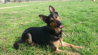 MOV_2715_000004.jpg
