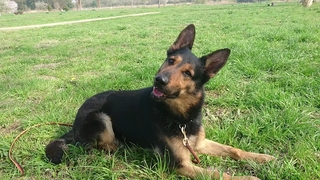 MOV_2715_000006.jpg
