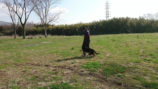 MOV_6300_000020.jpg